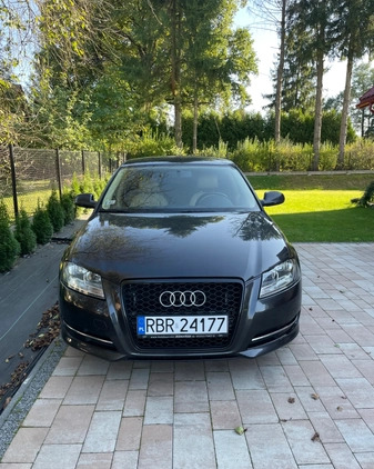 Audi A3 cena 28500 przebieg: 276000, rok produkcji 2010 z Brzozów małe 56